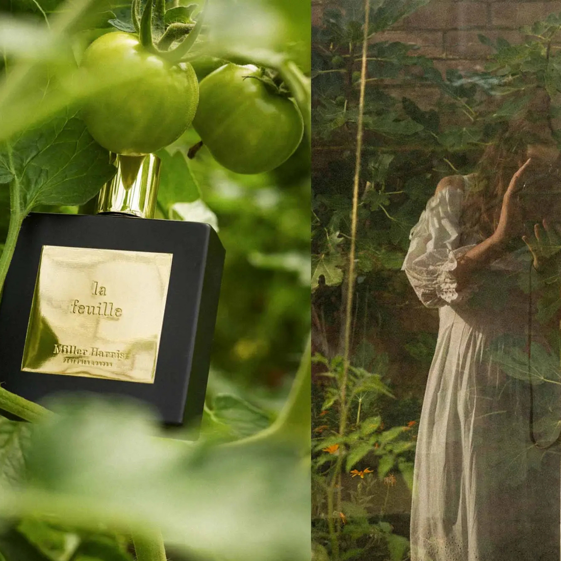 La Feuille EDP 100ml