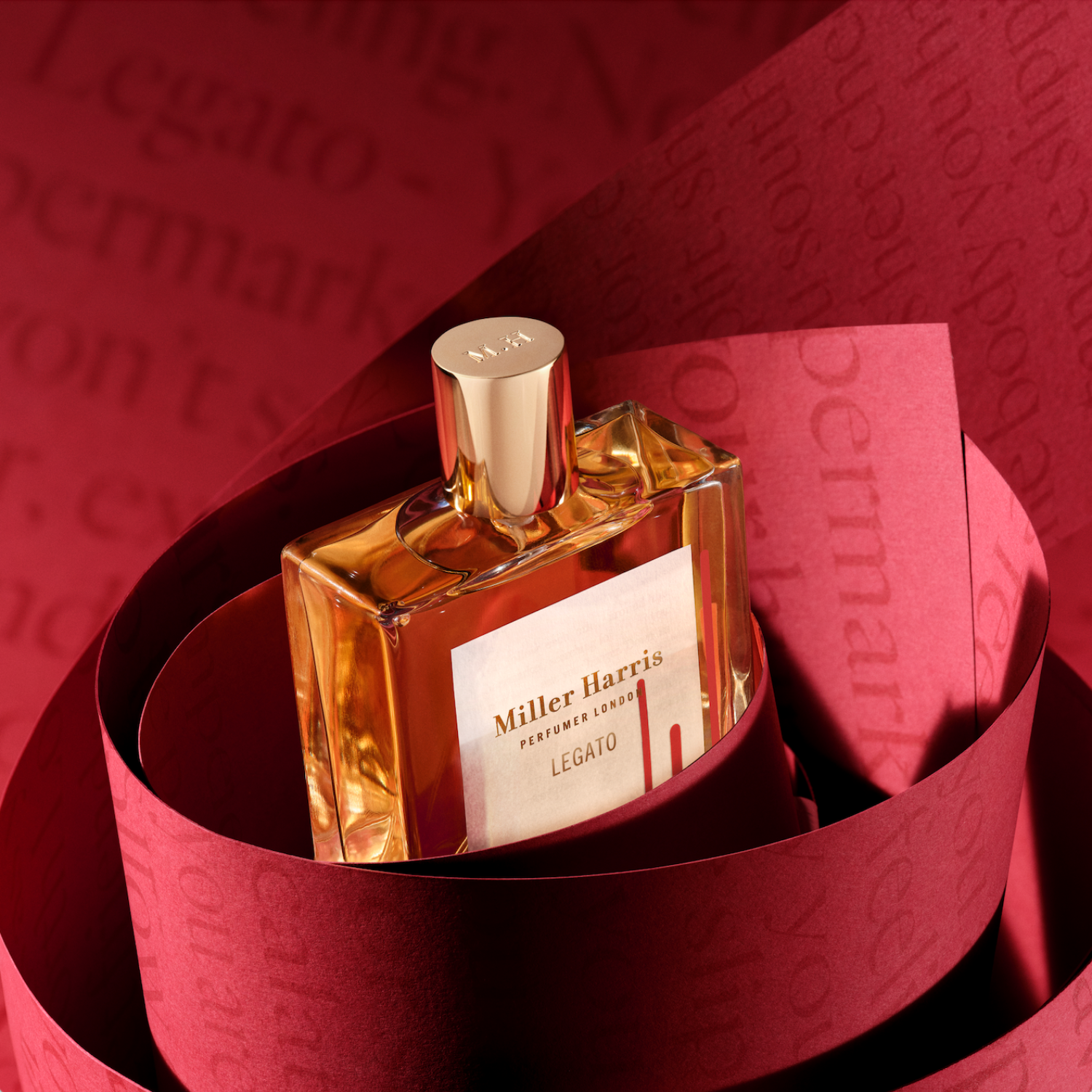 Legato EDP 100ml