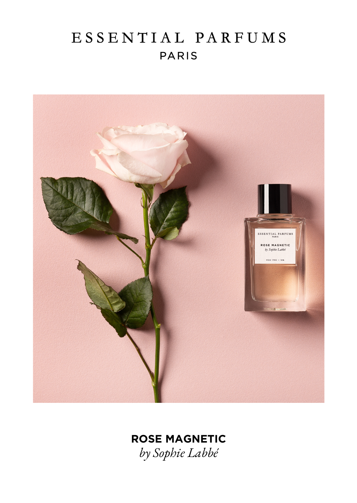 Rose Magnetic EDP 100ml