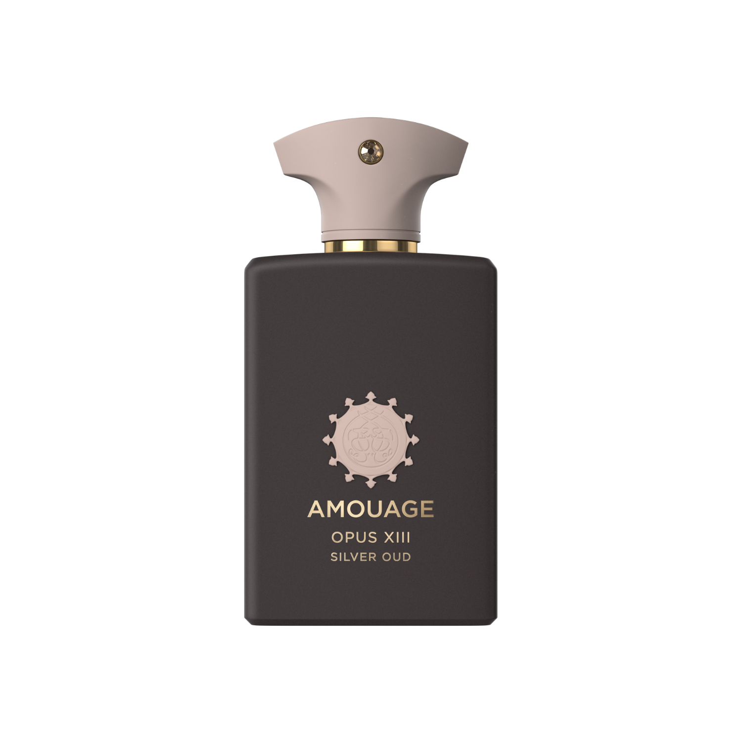 Opus XIII Silver Oud EDP 100ml
