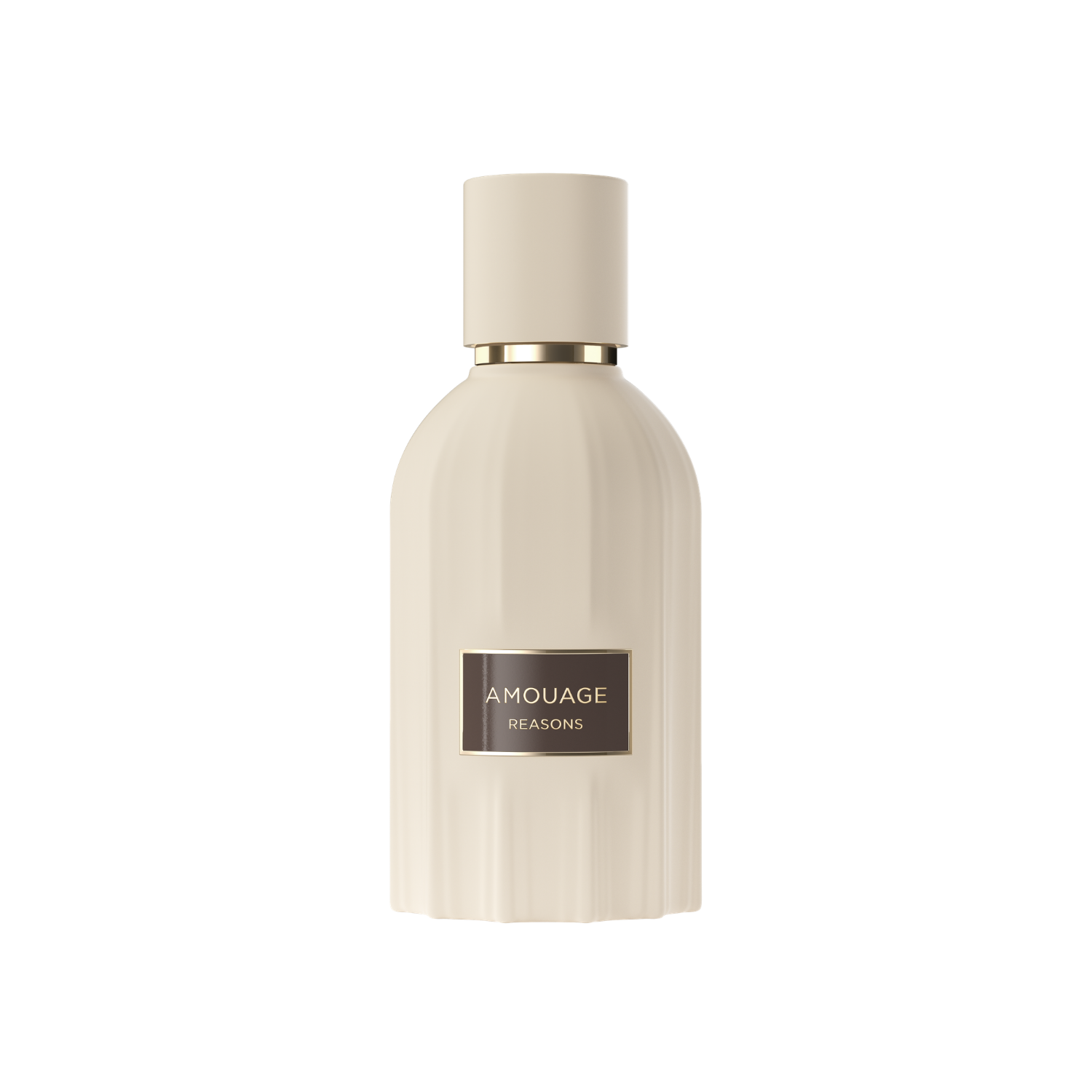 Reasons EDP 100ml