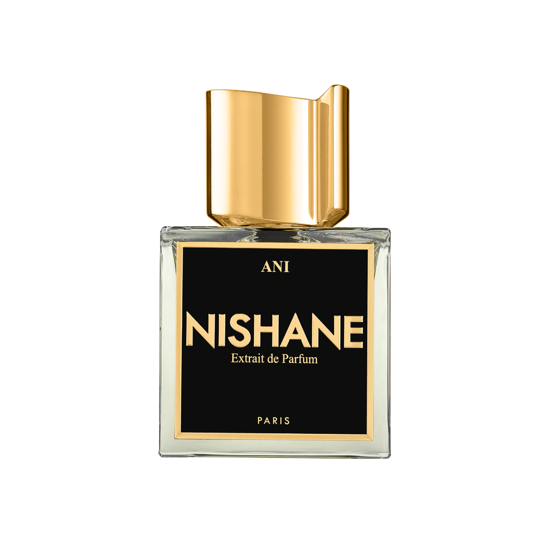 Ani Extrait de Parfum 100ml
