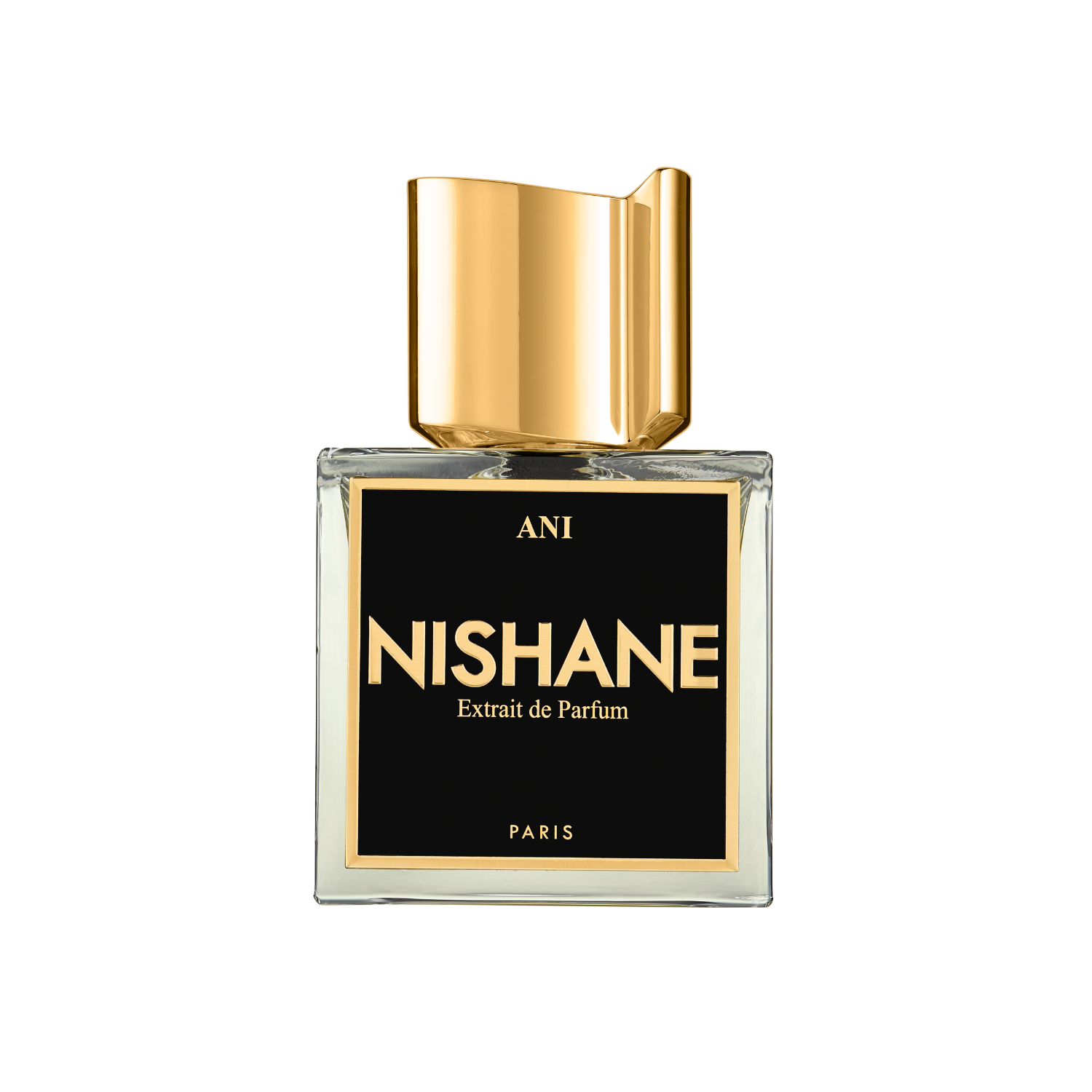 Ani Extrait de Parfum 100ml