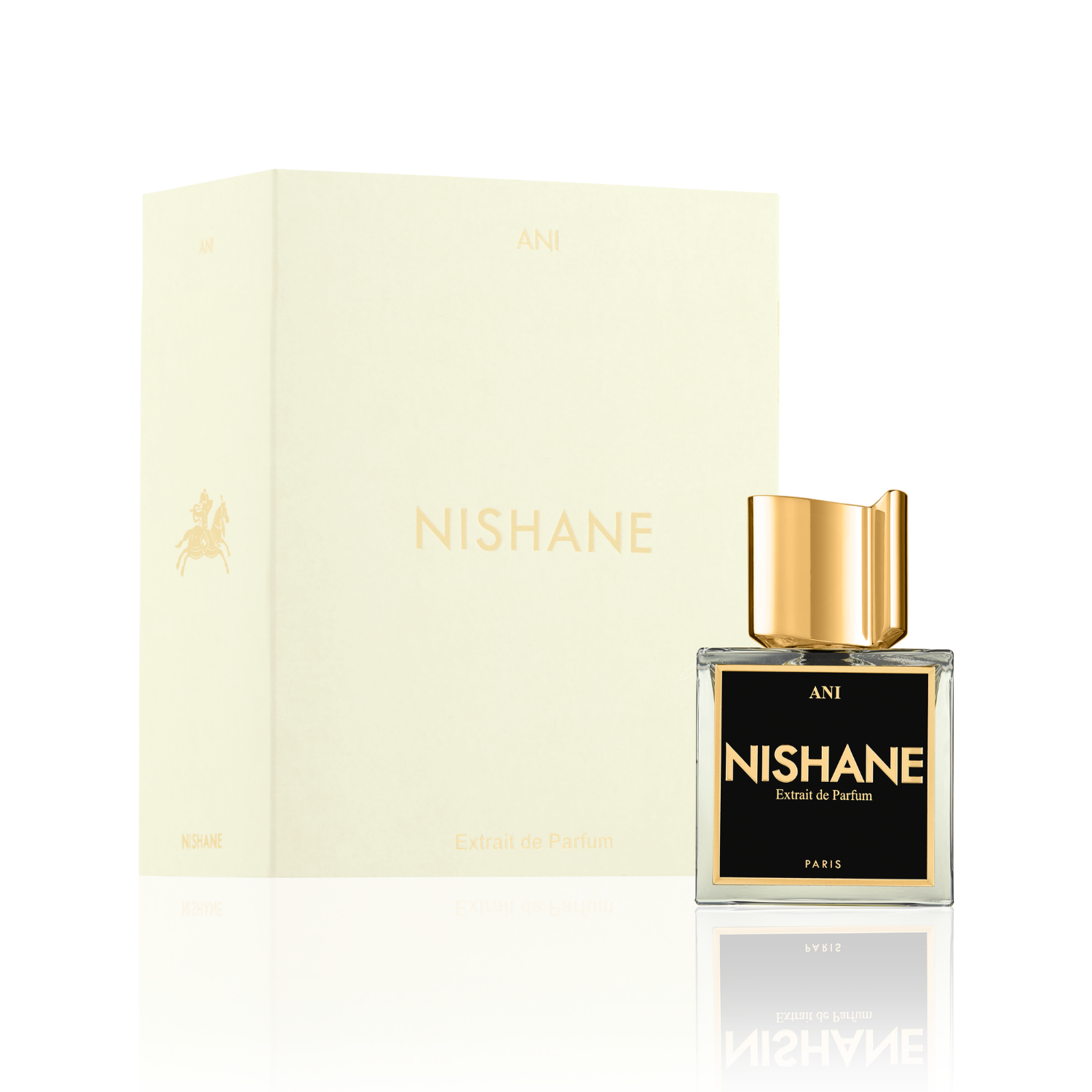 Ani Extrait de Parfum 100ml
